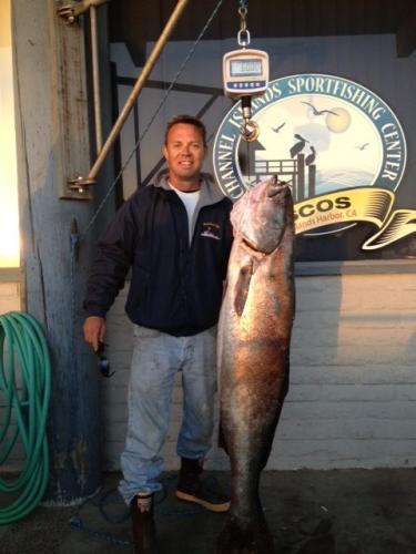 60-Seabass-on-Scale-e1521154550523