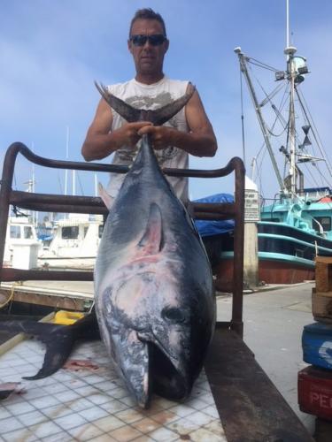 cart-BFT-with-Tail-e1521868103964